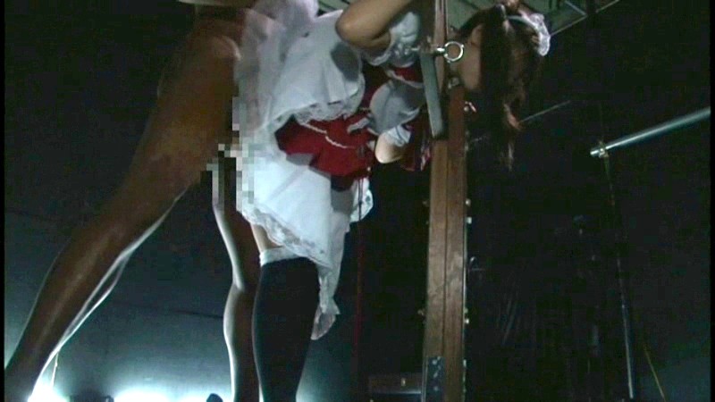 サンプル画像 14