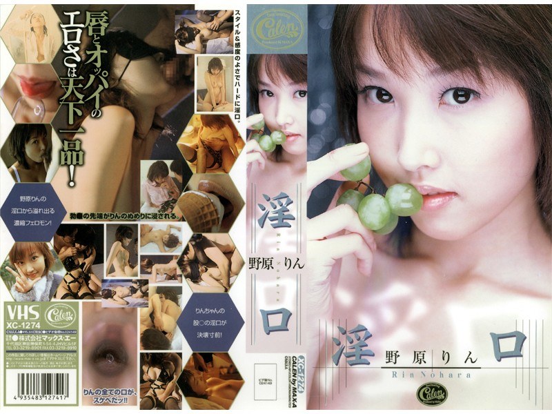 サンプルプレビュー