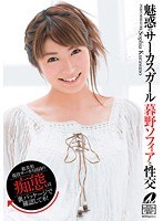 パッケージ画像