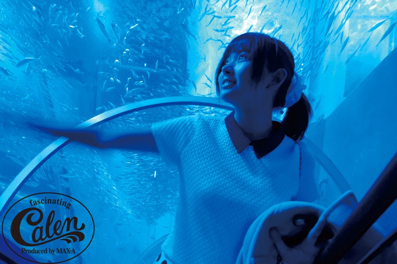 サンプル画像 5