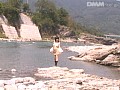 サンプル画像 14