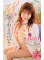 サムネイル画像