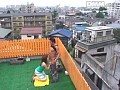 サンプル画像 8