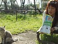 サンプル画像 9