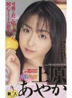 サムネイル画像