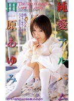 サムネイル画像