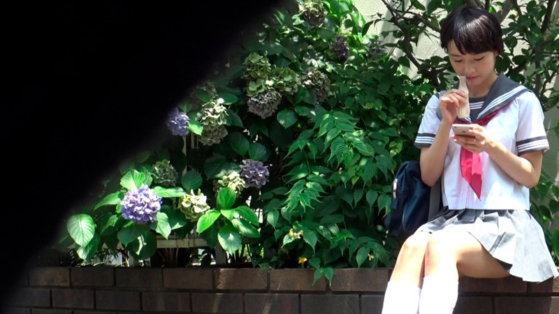 サンプル画像 2