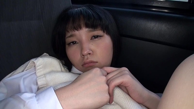 サンプル画像 5