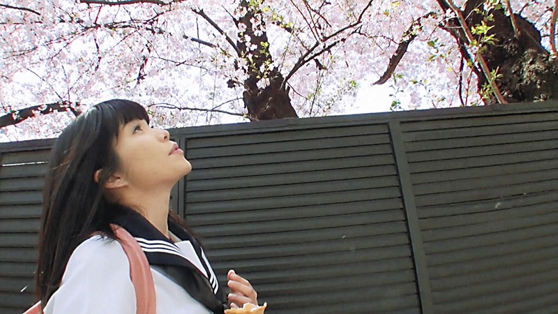 サンプル画像 4