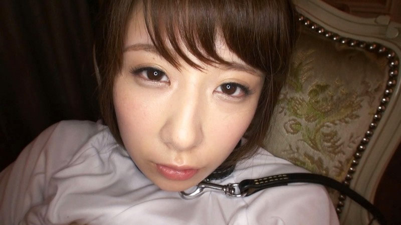 サンプル画像 15