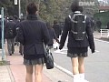 サンプル画像 16
