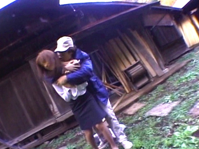 サンプル画像 11