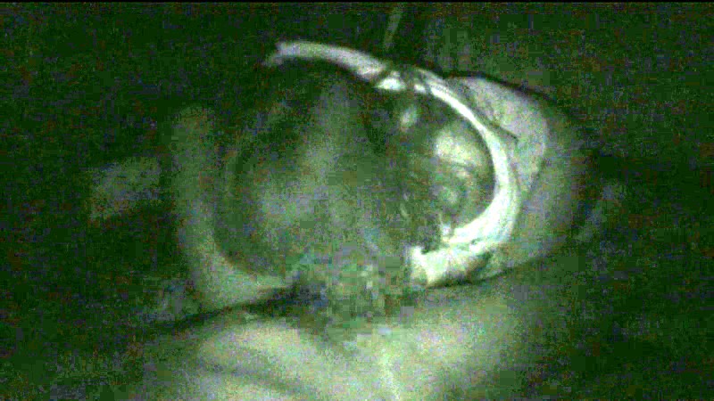 サンプル画像 19