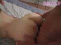 サンプル画像 18