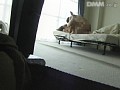 サンプル画像 18