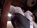 サンプル画像 6