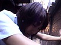 サンプル画像 16