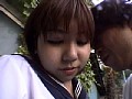 サンプル画像 17