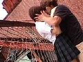サンプル画像 24