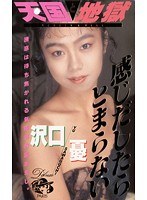 パッケージ画像