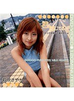 パッケージ画像