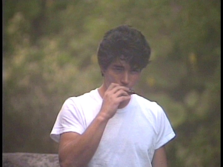 サンプル画像 2