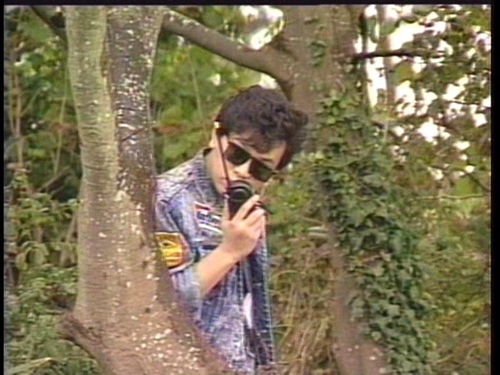 サンプル画像 3