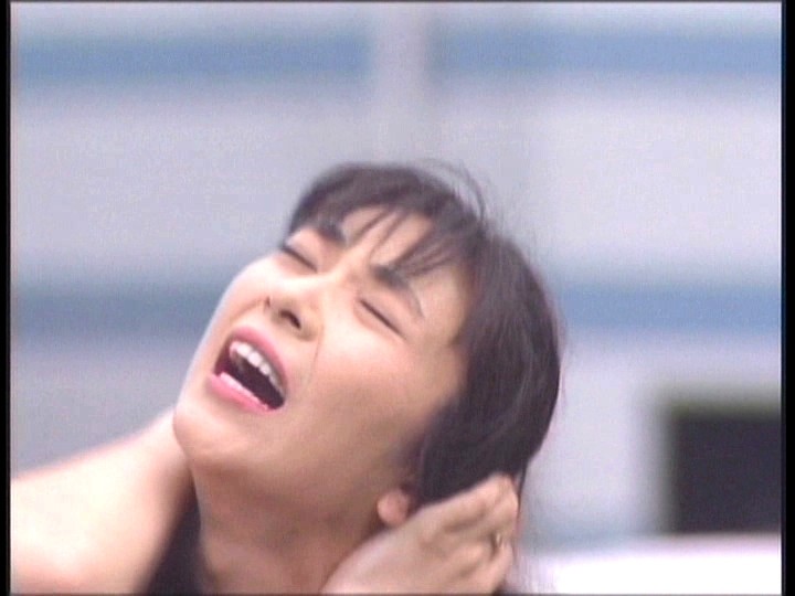 サンプル画像 9