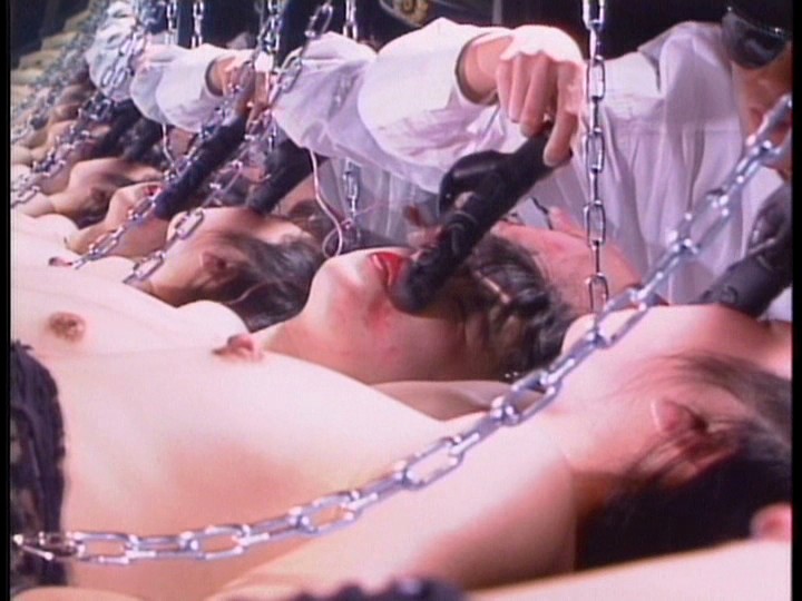 サンプル画像 6