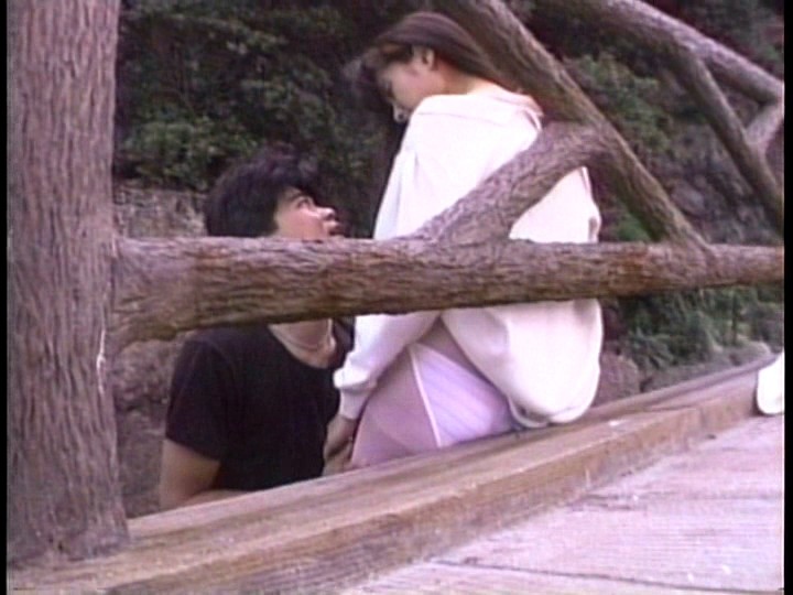 サンプル画像 7