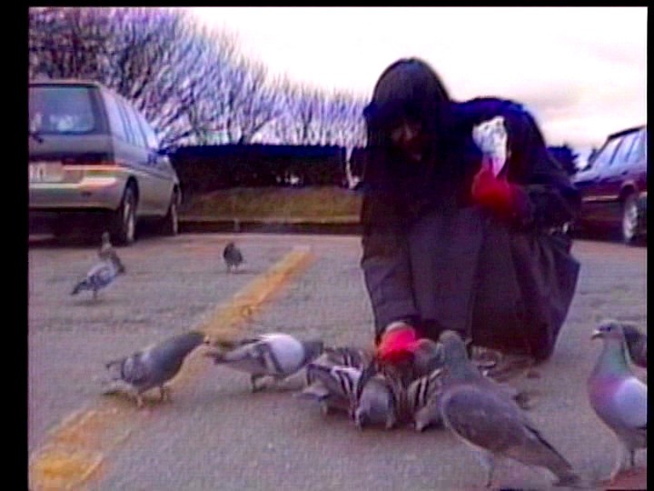 サンプル画像 3