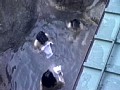 サンプル画像 15