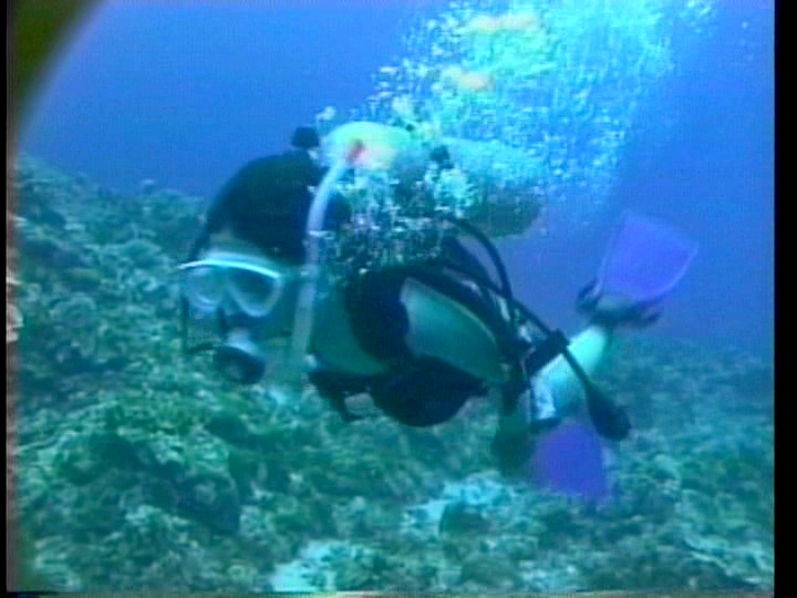 サンプル画像 3