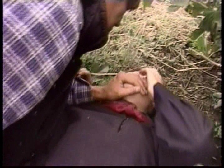 サンプル画像 19