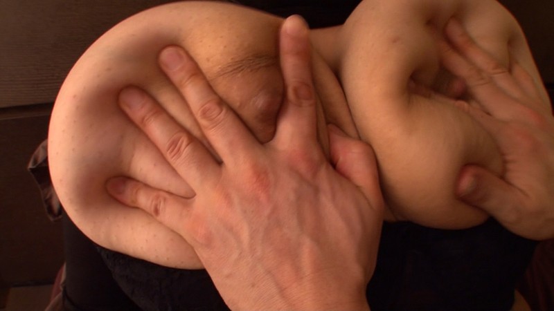 サンプル画像 14