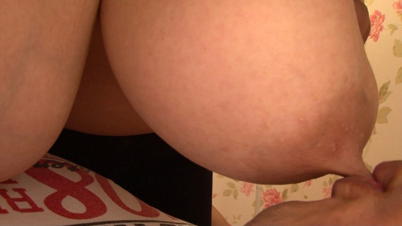 サンプル画像 8