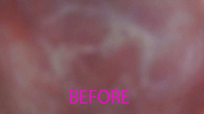 サンプル画像 15