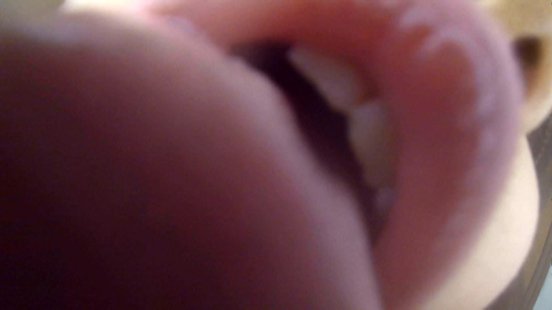 サンプル画像 10