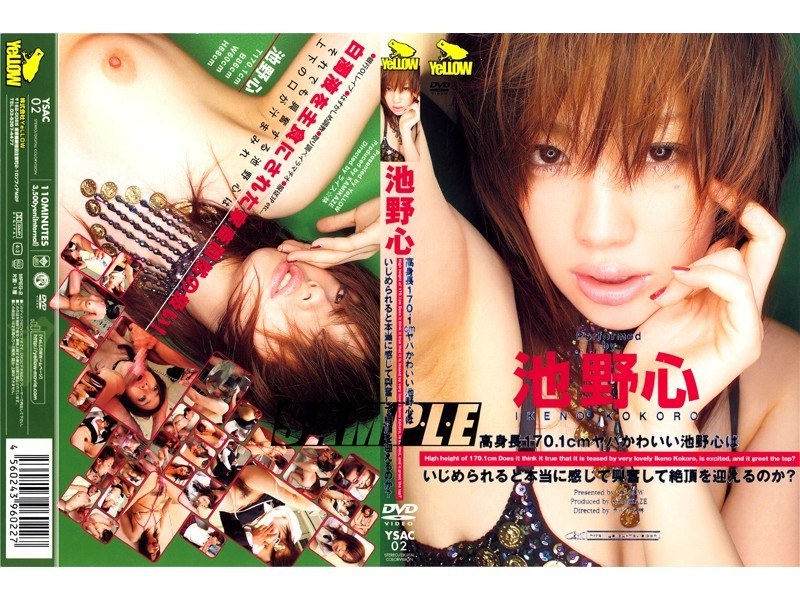 サンプルプレビュー