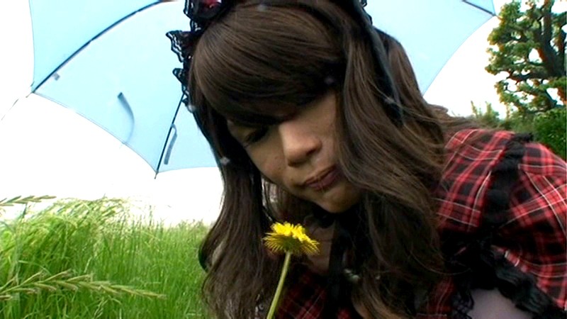 サンプル画像 7