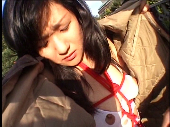 サンプル画像 12