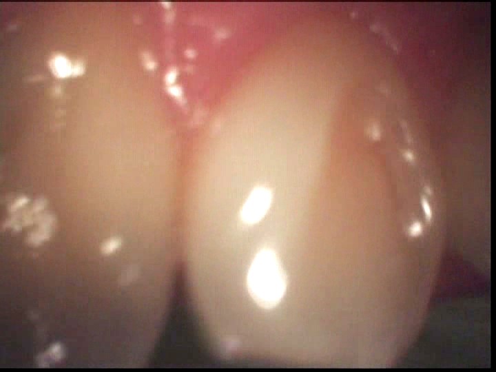 サンプル画像 9