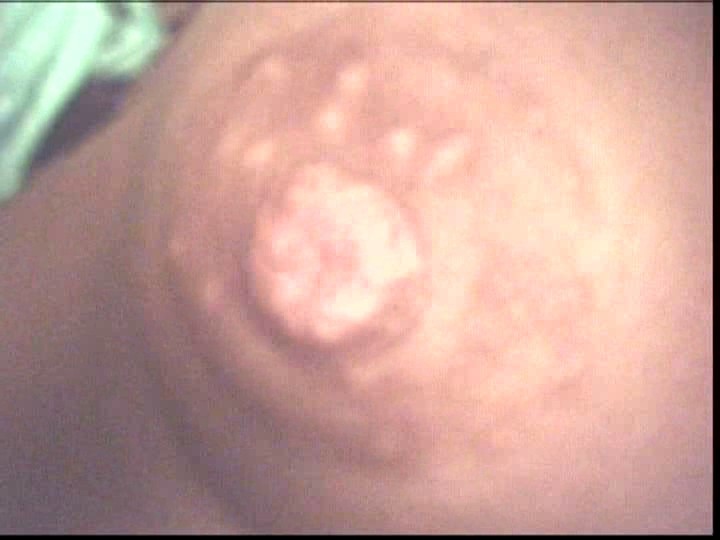 サンプル画像 6