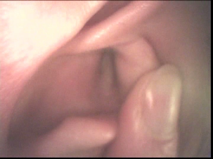 サンプル画像 15