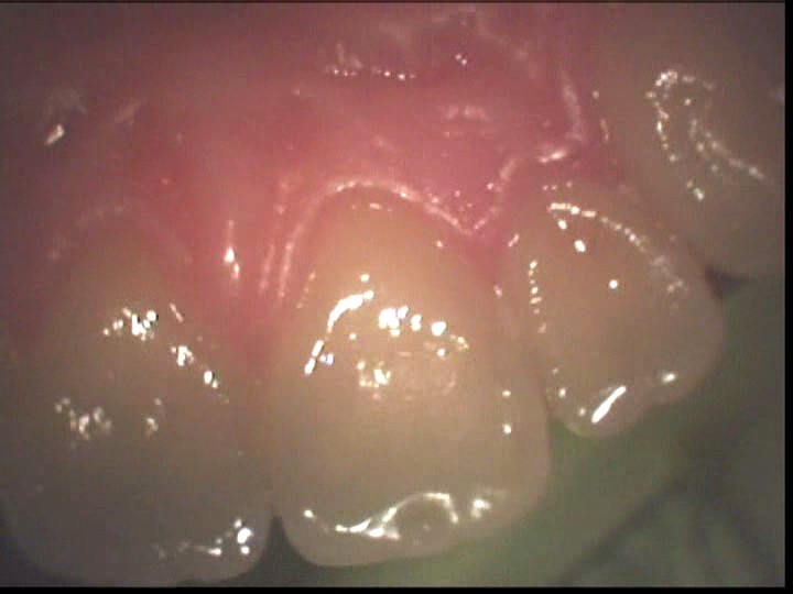 サンプル画像 5