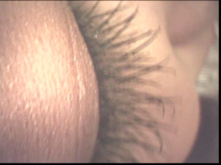 サンプル画像 9