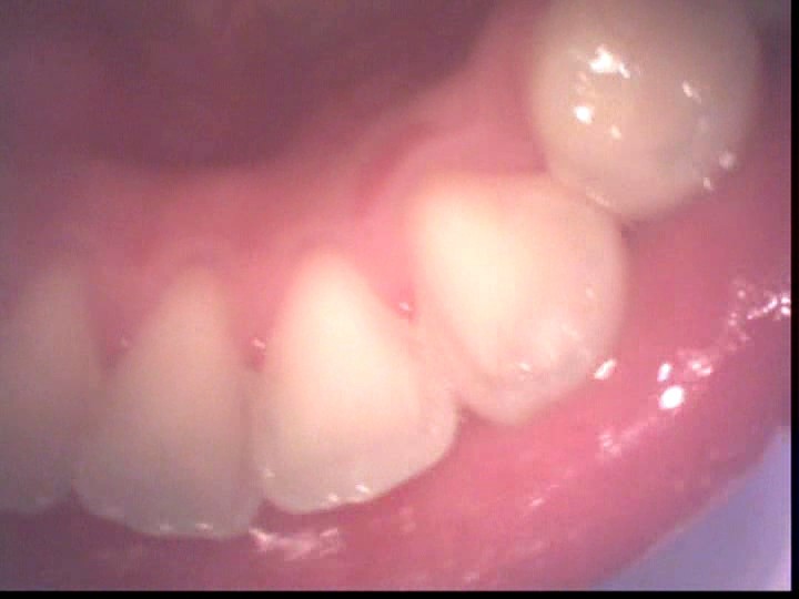 サンプル画像 7