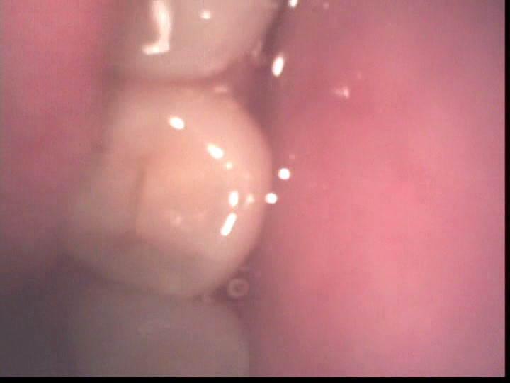 サンプル画像 16