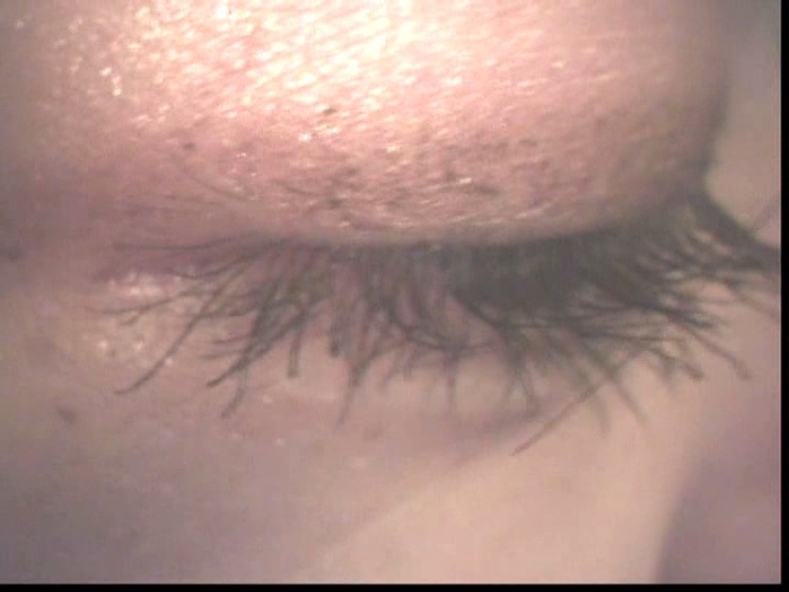 サンプル画像 3