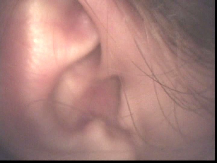 サンプル画像 8